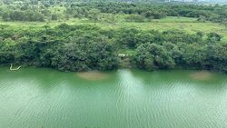 Kingsford Waterbay (D19), Apartment #497149651